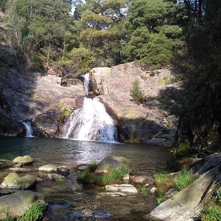 Casas Do Pedro T1 Villa วีลาปรายา เด อันโกรา ภายนอก รูปภาพ